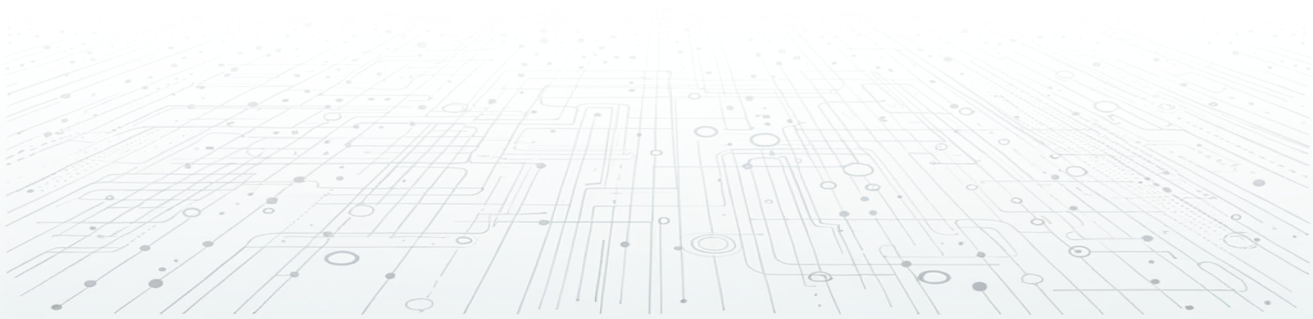 Drawing of the microcircuit